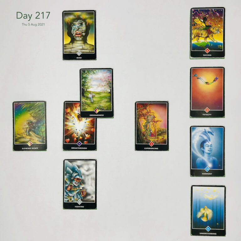 Day 217. Cards in order of appearance: Breakthrough, Ordinariness, Mind, Experiencing, Fighting, Slowing Down, Understanding, Harmony, Totality, Success, Washing Machine